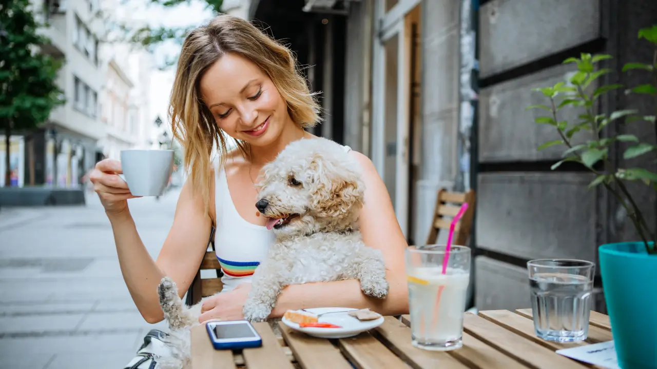 Serviços Pet-Friendly