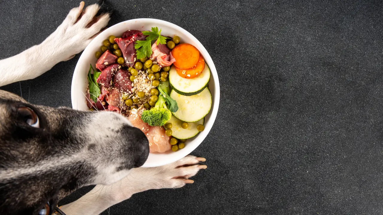 Alimentação BARF Congelada para Cães